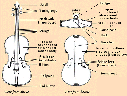 Componentes e estrutura de um violino.