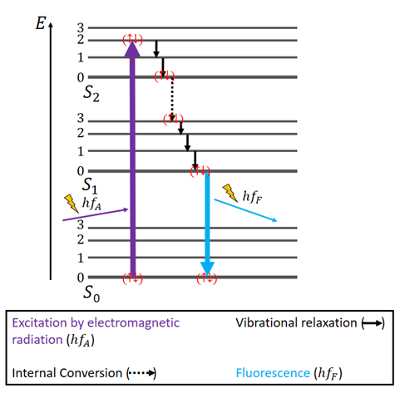 Jablonski diagram for fluorescence