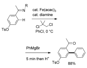 CH Activation with Iron
