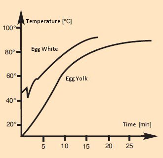 Changes in the internal temperature of an egg over the course of boiling