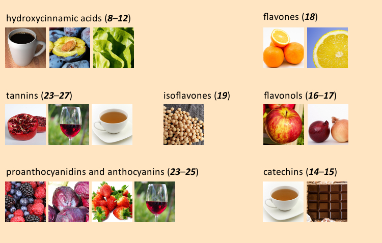Phenolic substances in selected foodstuffs