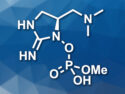 Genetic Signature of a Toxin Allows Cyanobacterial Bloom Monitoring
