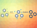 Synthesis of Hollow Microspheres Directed by Denatured Protein
