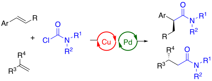 Enantioselective Hydrocarbamoylation of Alkenes