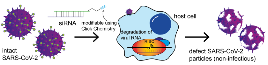 RNA Therapeutics Block SARS-CoV-2 Replication