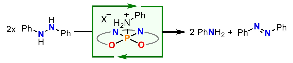 Redox-Active Ligands and Phosphorus Cooperate