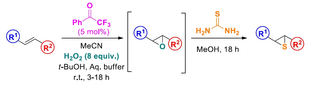 Organocatalytic Synthesis of Thiiranes from Alkenes