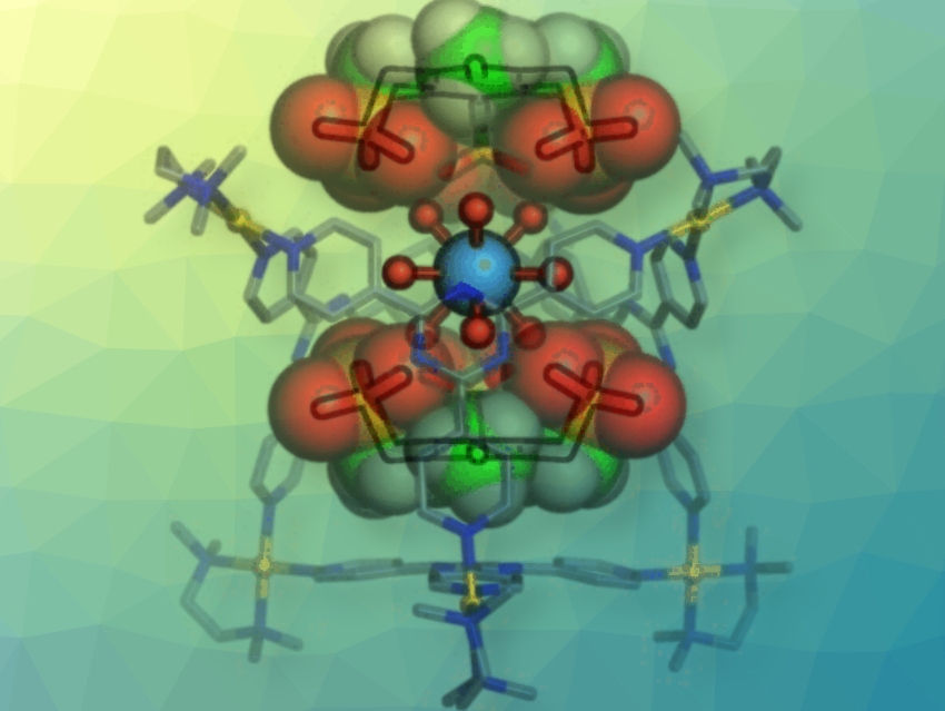 Selective Recognition and Separation of Early Lanthanoid Ions