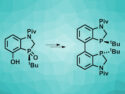 Practical Path to P-Chiral Ligands