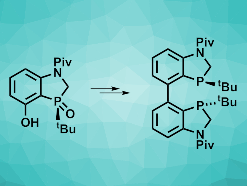 Practical Path to P-Chiral Ligands