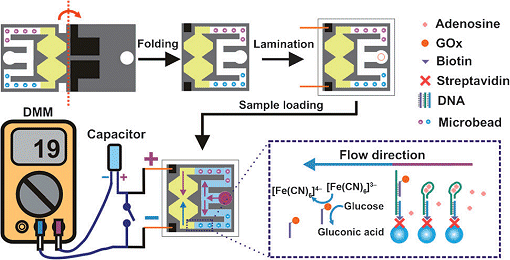 Pelletb practice test free picture