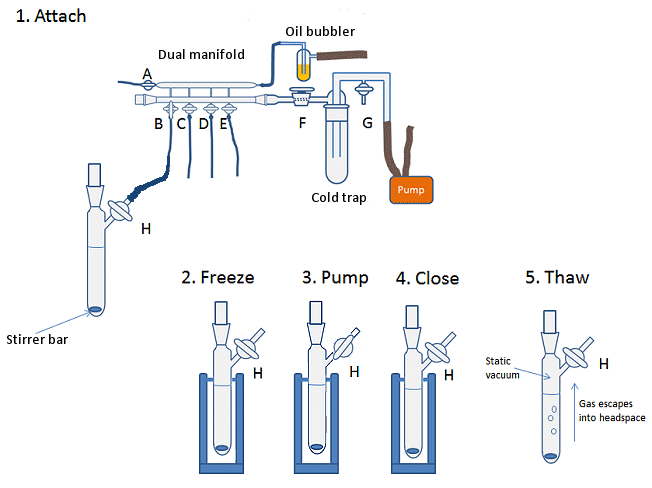 Degassing a solvent using the freeze-pump-thaw method