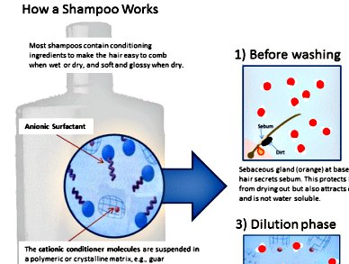 best of 2013 chemviews magazine chemistryviews how shampoo works