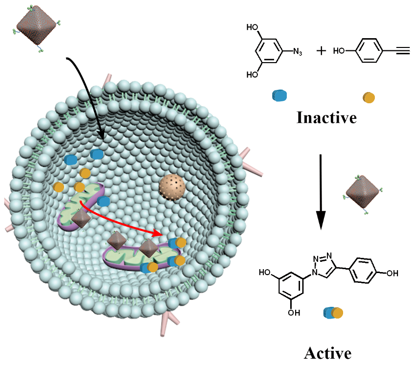 Synthesis of common drugs picture