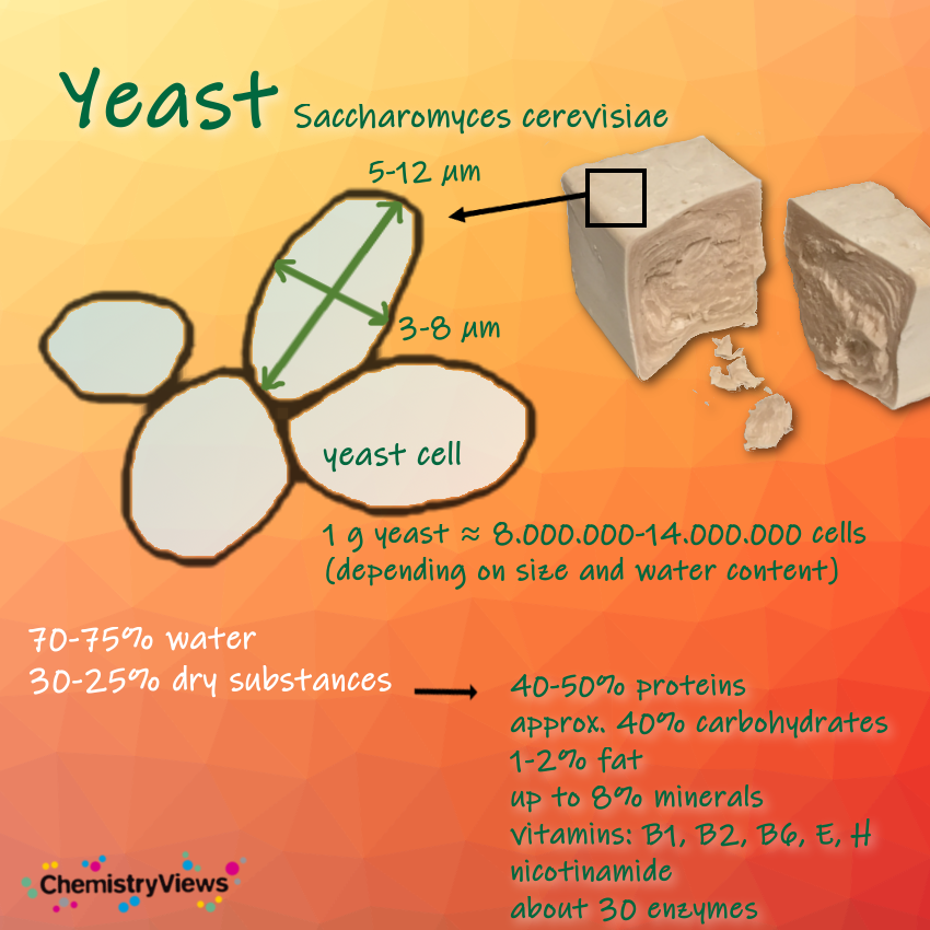 Yeast Chemistry Advent Calendar
