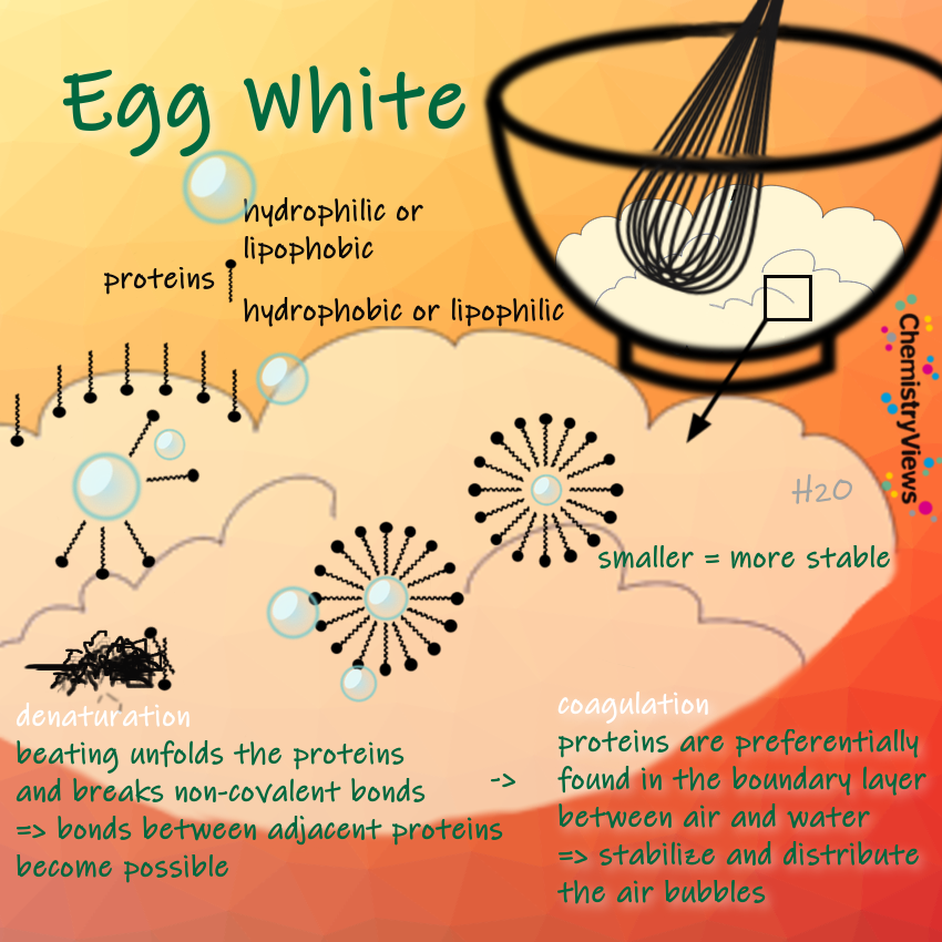 Egg White Chemistry ChemViews Magazine ChemistryViews