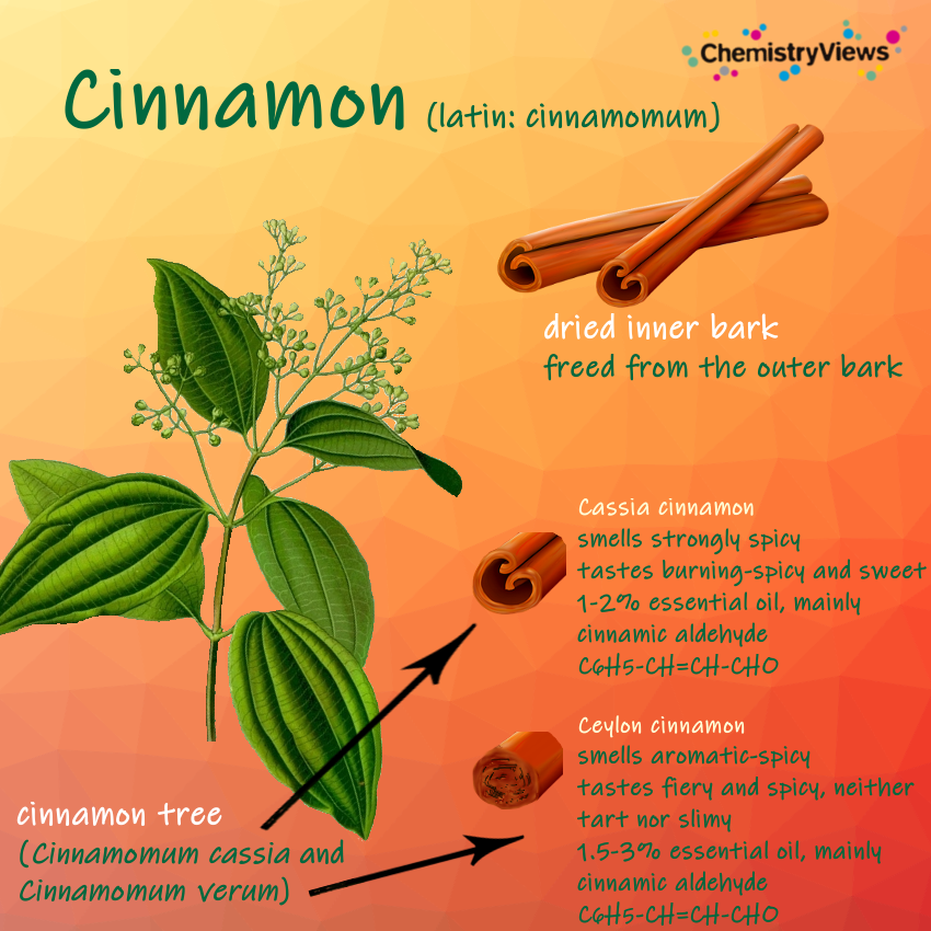 Cinnamon Chemistry :: ChemViews Magazine :: ChemistryViews