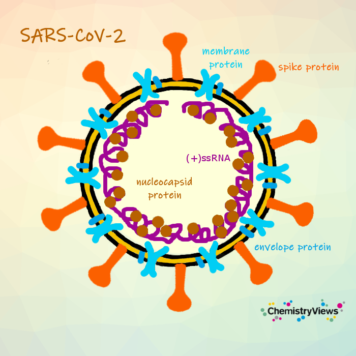 SARS-CoV-2