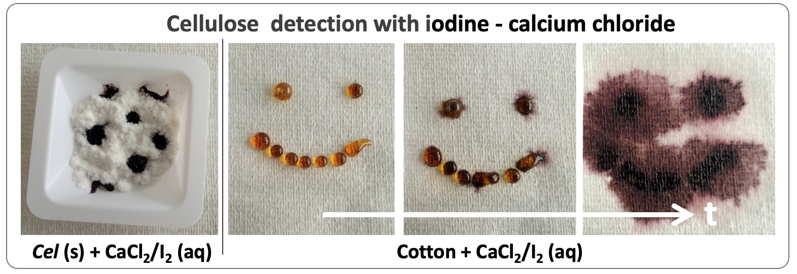Cellulose detection with novel iodine–calcium chloride solution