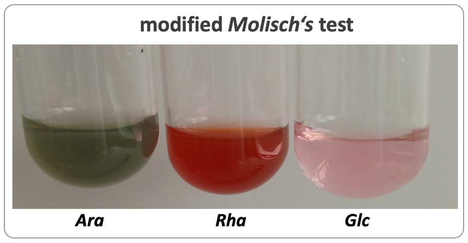 Modified Molisch's test with carvacrol