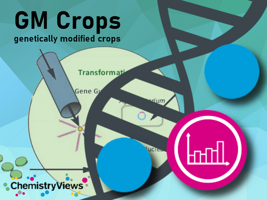 GM Crops