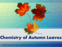 Chemistry of Autumn Leaves