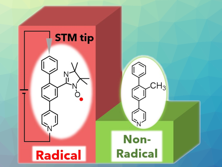 Conductance of a Molecular Wire Enhanced by a Radical Substituent