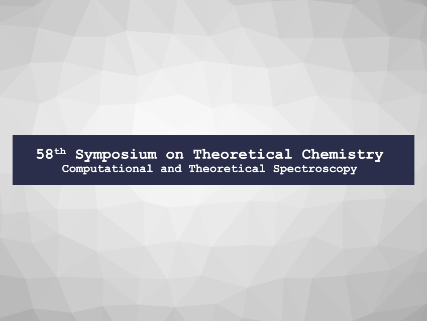 Symposium on Theoretical Chemistry (STC 2022)