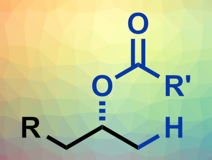 Hydrooxygenation of Unactivated Terminal Alkenes