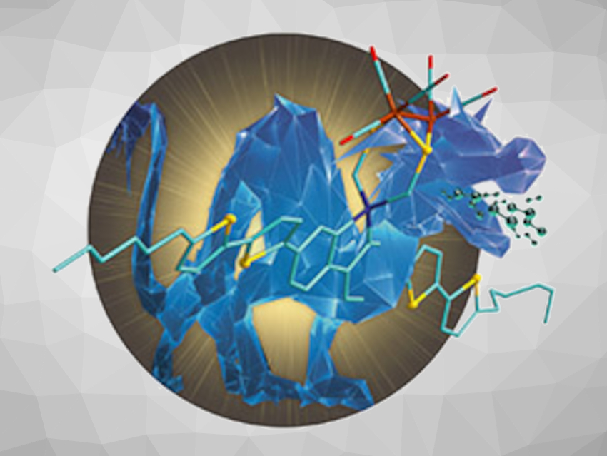 Angewandte Chemie 20/2022: Activating