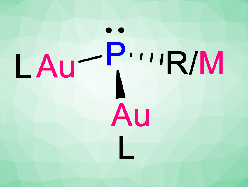 Electron-Rich Phosphorus Superbases