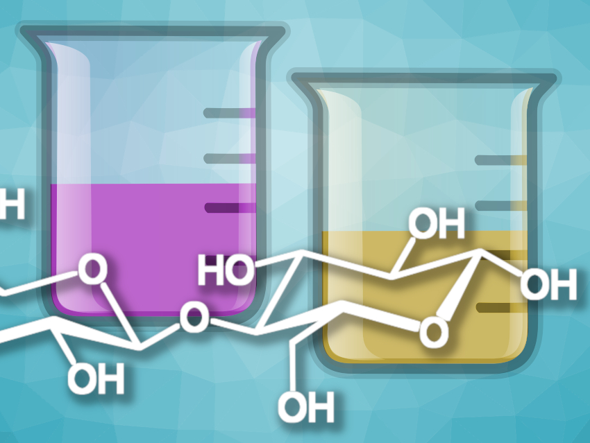 Know Thy Carbs! Safer Carbohydrate Detection Methods for School Labs – Part 2