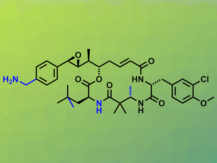 Aza-Cryptophycin Analogues for Antibody–Drug Conjugates