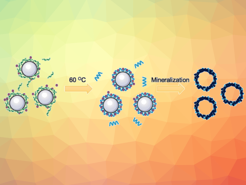 Synthesis of Hollow Microspheres Directed by Denatured Protein