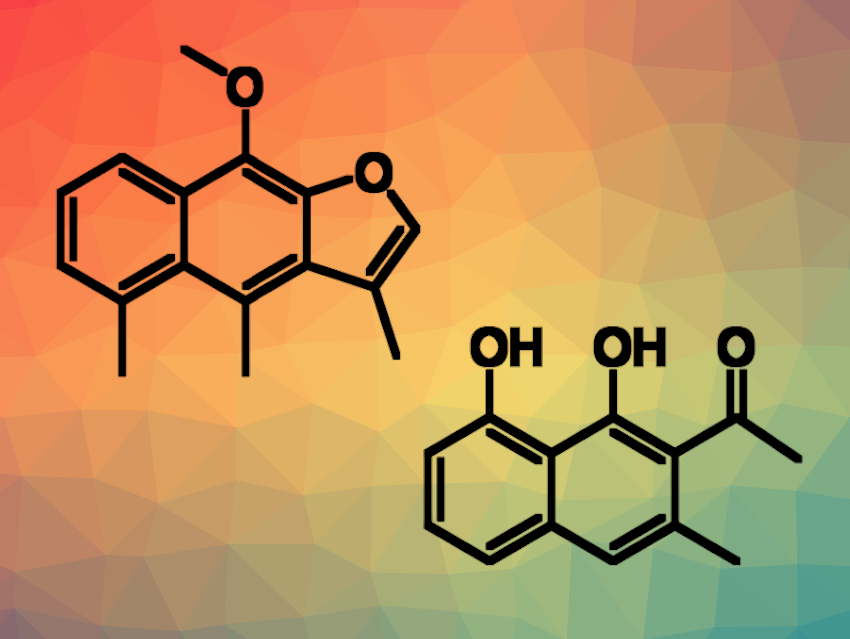 Synthesis of Naphthalene-Containing Natural Products