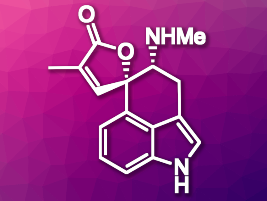 Asymmetric Total Synthesis of Rugulovasine Stereoisomers