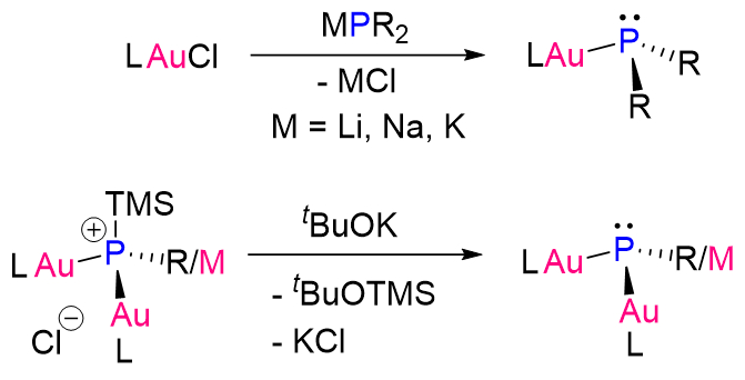 Electron-Rich Phosphorus Superbases