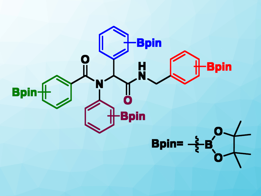 Synthesis of Tetraboronate Esters