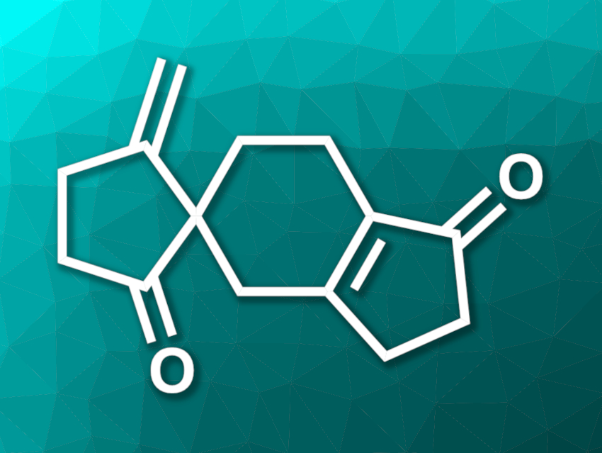 Total Synthesis of Ulodione A