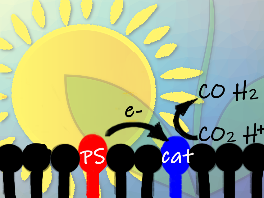 Self-Assembled Liposomes Enhance Photocatalytic CO2 Reduction