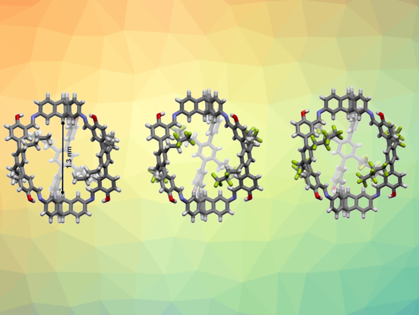 Selective Adsorption of Perfluorocarbons by Porous Organic Cages