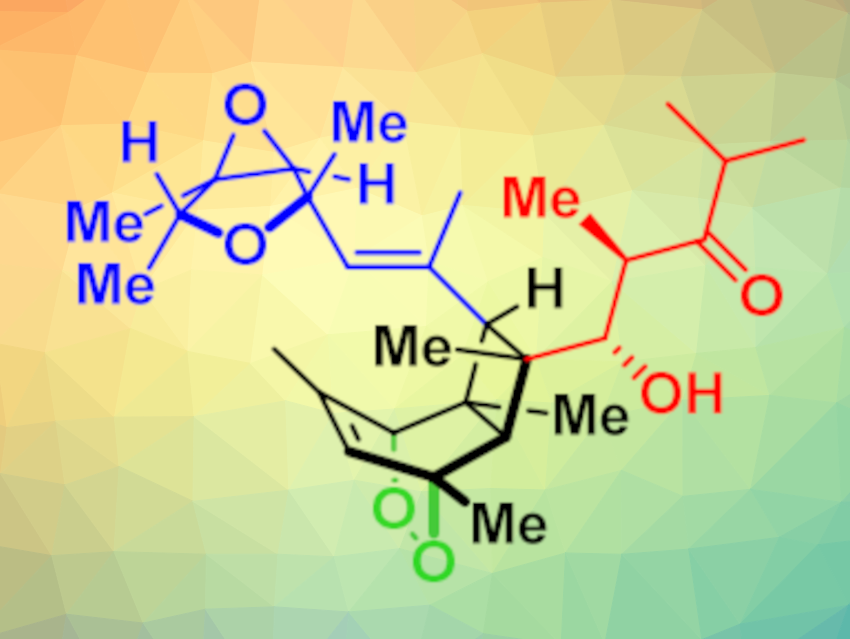 Bioinspired Synthesis of Emeriones A–C