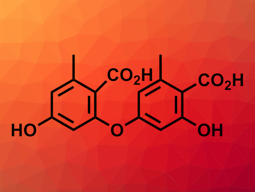 Thioesterase Domain Catalyzes Diaryl Ether Formation