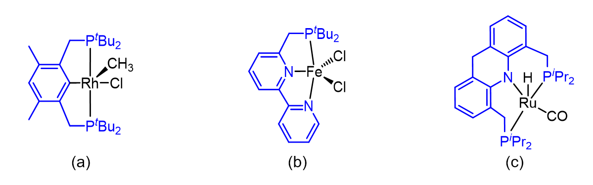 Examples of pincer ligands 