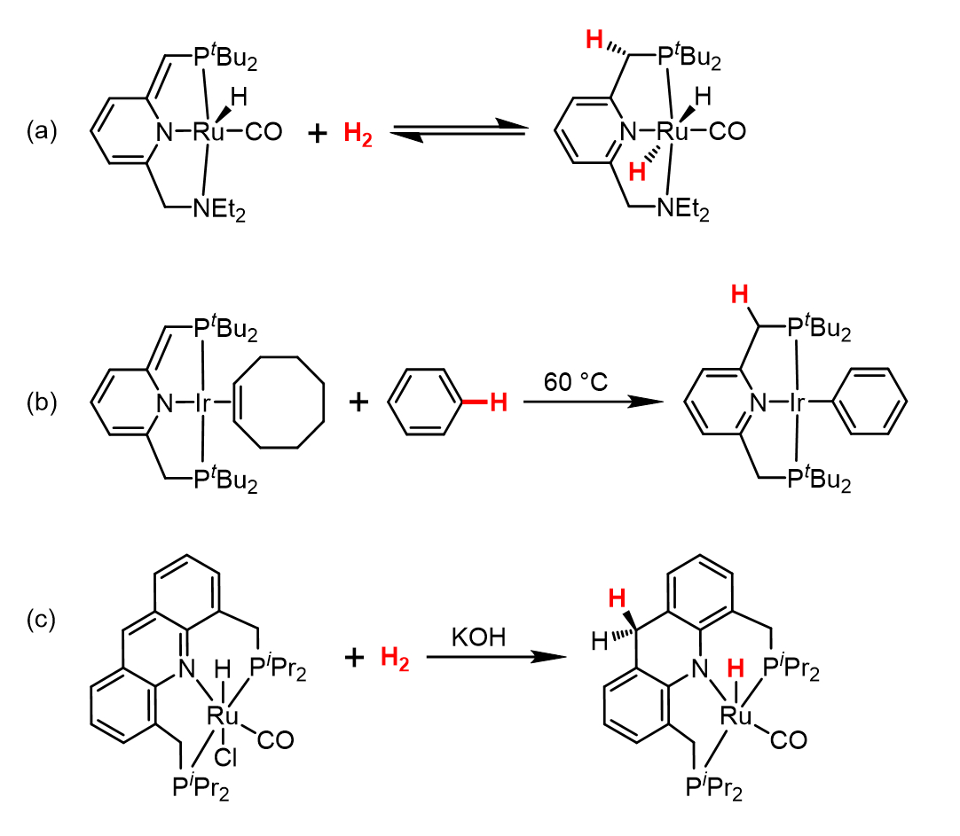 Examples of metal-ligand cooperation