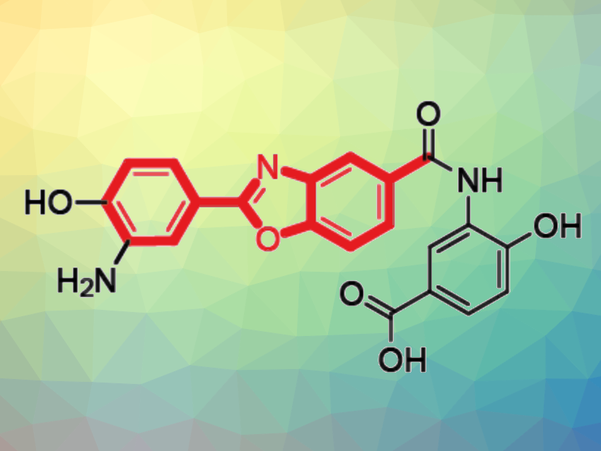 Alternative Benzoxazole Assembly Discovered in Anaerobic Bacteria