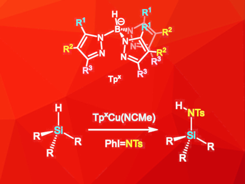 Functionalization of Si–H Bonds by Nitrene Insertion