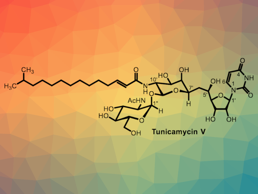 Concise Synthesis of Anticancer Drug Candidates