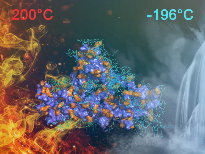 Adhesion from Cold to Hot