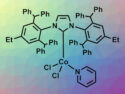 New Cobalt Catalyst with a Bulky N-Heterocyclic Carbene Ligand